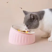 陶器製 ペット用フライングディッシュボウル【猫用・犬用・取り外し可能・洗いやすいデザイン】