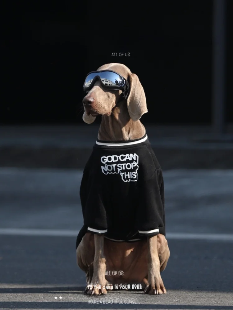 大型犬用ウェア：春秋対応のフーディーで日常のスタイルを整える
