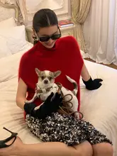 高品質のカシミヤニット【タートルネック・春用・重ね着スタイル】（セットアップ対応）