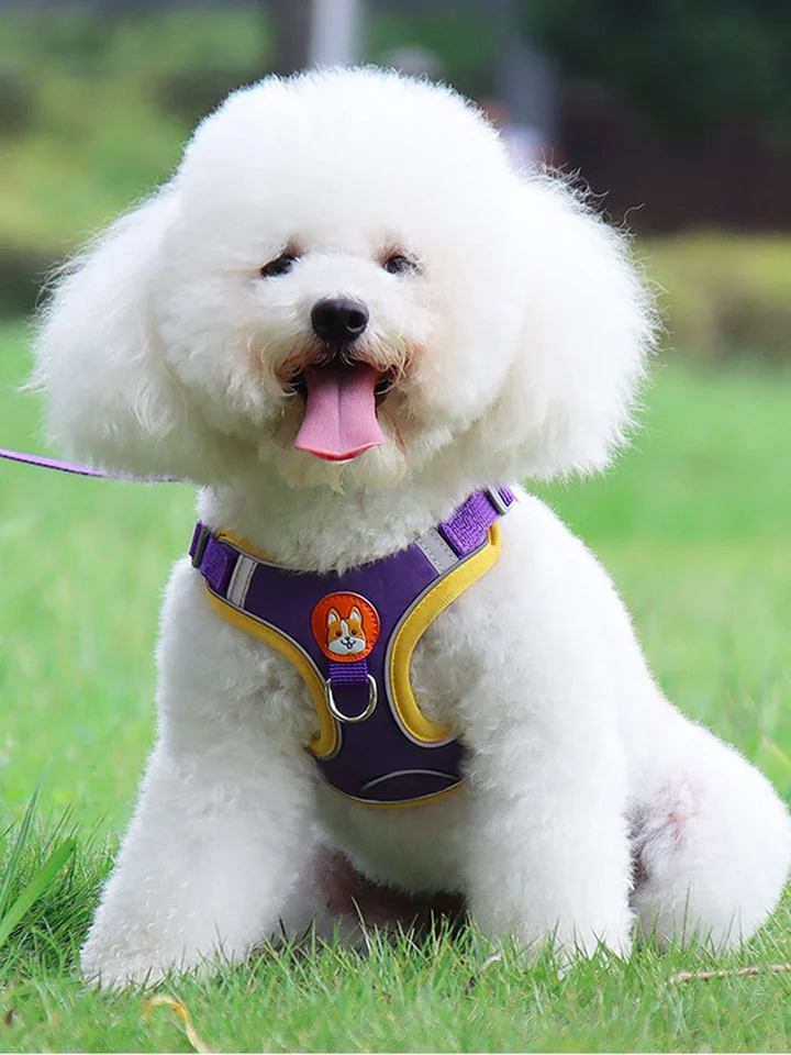 犬用反射素材ハーネスリード【小型犬用・夜間散歩対応・快適なフィット感】