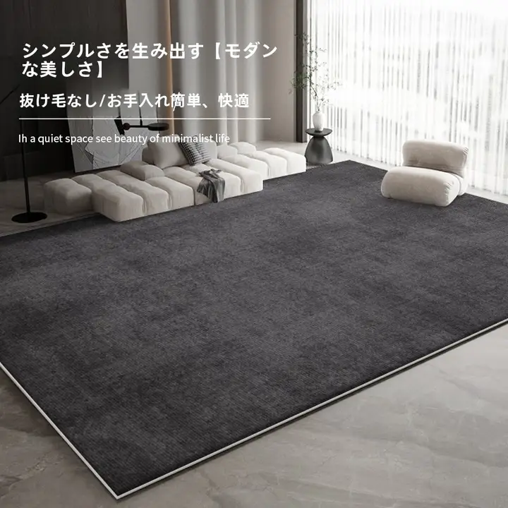 2025年新スタイル 洗わず拭き取り不要 カーペット