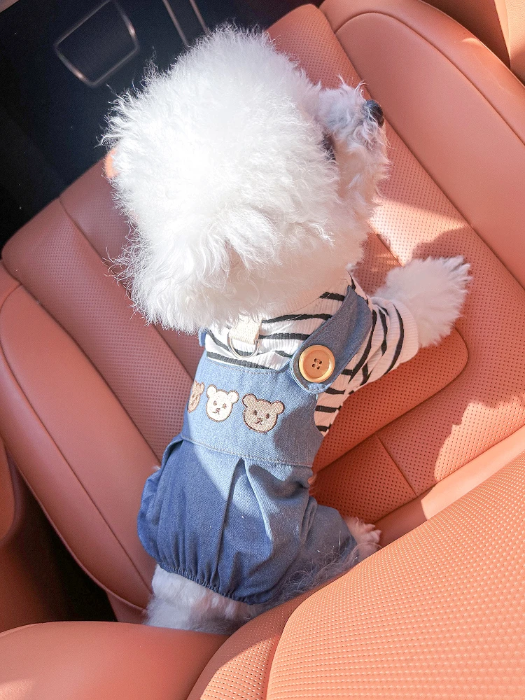 犬服ハーネス対応：PETCIRCLEのテディベアスタイル四脚タイプが実際の散歩シーンでどう活用されるか