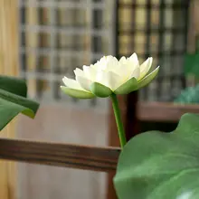 EVA製 仮想蓮の花【水辺装飾・庭園用・舞台演出・撮影小道具】