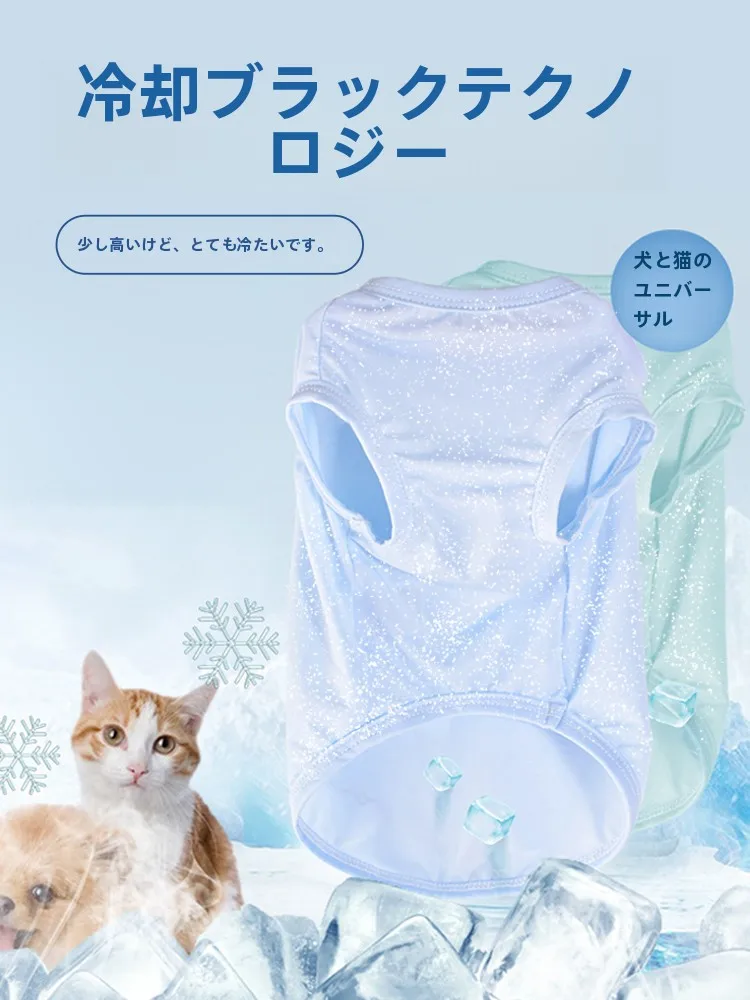 犬のお散歩グッズをコスパ良く揃える方法　完全ガイド