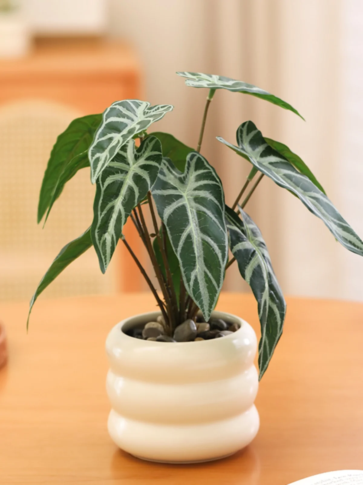 一人暮らしの新生活をまとめ買いするなら、この1品で予算をどうにかできる？