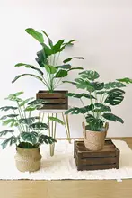 インテリアにぴったりな観葉植物【モンステラ風・小型・卓上用・北欧デザイン】