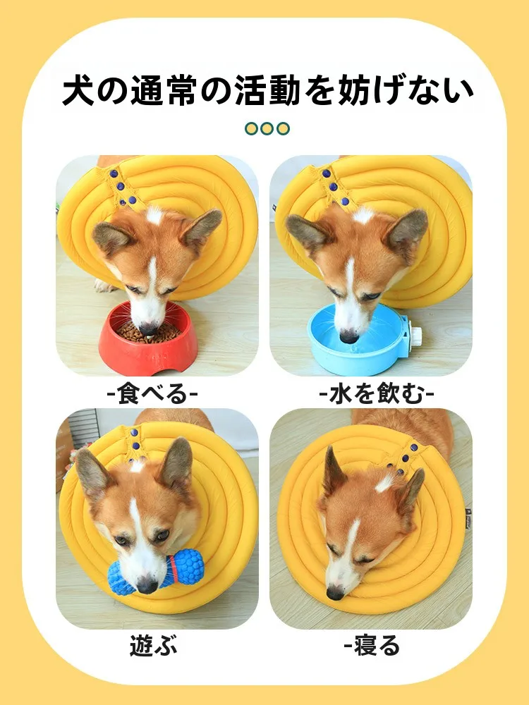 犬用エリザベスカラー：かみ防止・舐め防止に最適な軽量設計の実用性解析