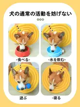 犬用エリザベスカラー【かみ防止・舐め防止・コーギー・フレンチブルドッグ用】