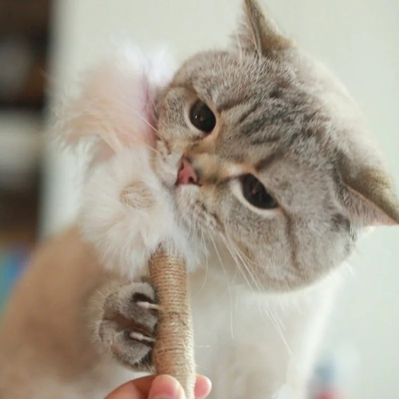 猫の遊び道具を手作りにするなら、木製の虫型おもちゃが一番？