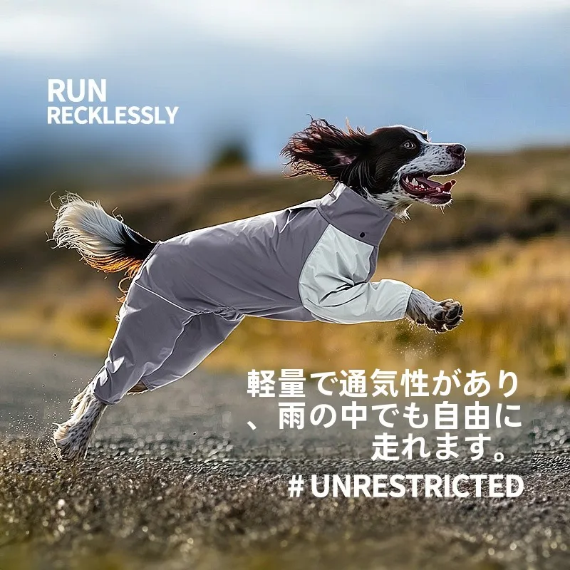 犬のお散歩グッズをコスパ良く揃える方法｜全面保護と透湿性が実現する完全ガイド