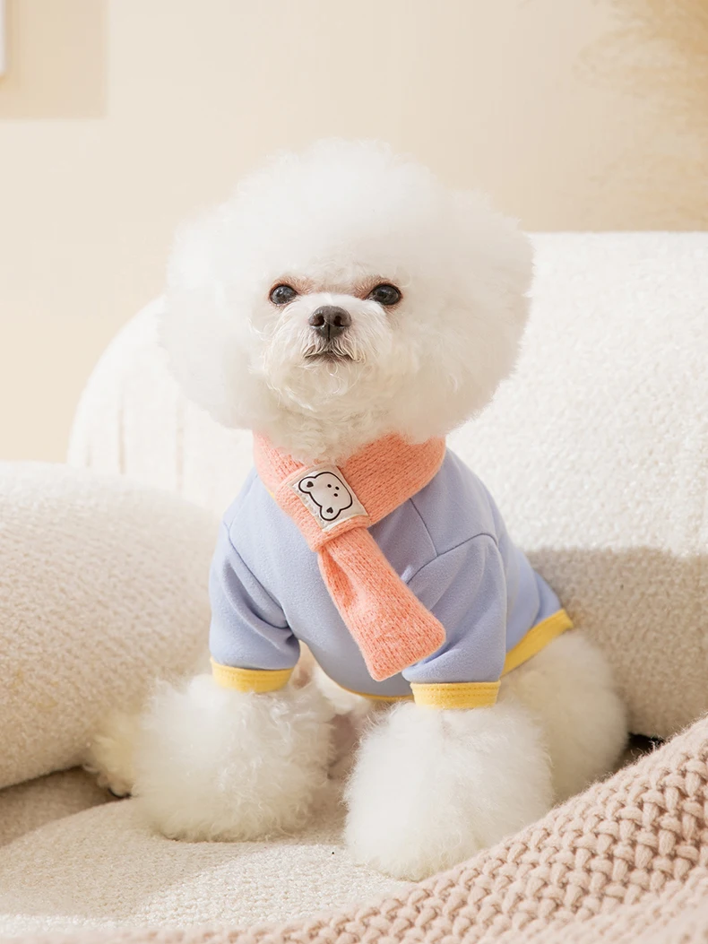 hipidog 小型犬用ウェア：かわいいニットデザインで春秋に最適な通勤・散歩スタイル