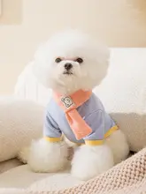 hipidog 小型犬用ウェア【春秋用・テディベア風・ニット・カラーブロックデザイン】
