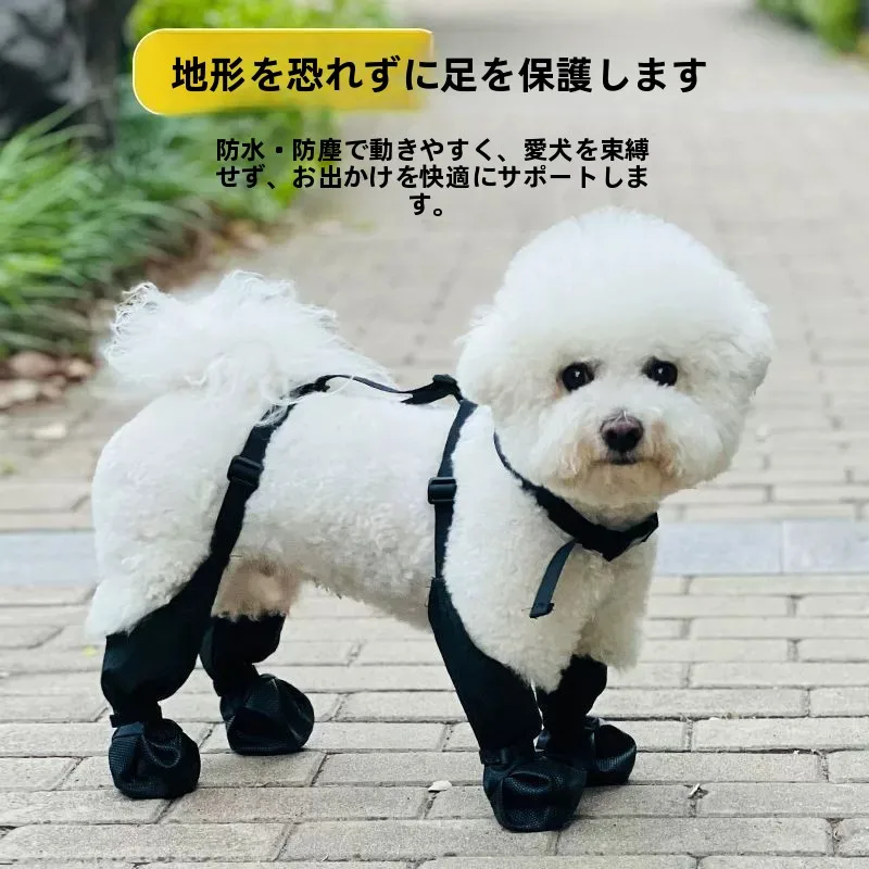 犬の散歩服装 おすすめ：雪狮の防水四脚パンツが夏の外出に最適