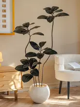 高級感あふれるフェイク植物！大きなゴムの木【和のテイスト・リビング用】
