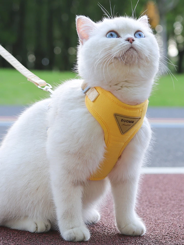 猫飼いが買ってよかったもの・悪かったもの正直に言う｜猫用ハーネス胸付けタイプの実用性と設計原理