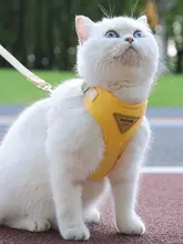 猫用 ハーネス 胸付けタイプ【小猫用・引っ張り防止・お散歩用】