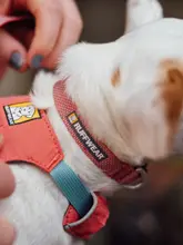 Ruffwear 犬用カラーとリード【軽量・柴犬対応・大型犬用・ペット用品】