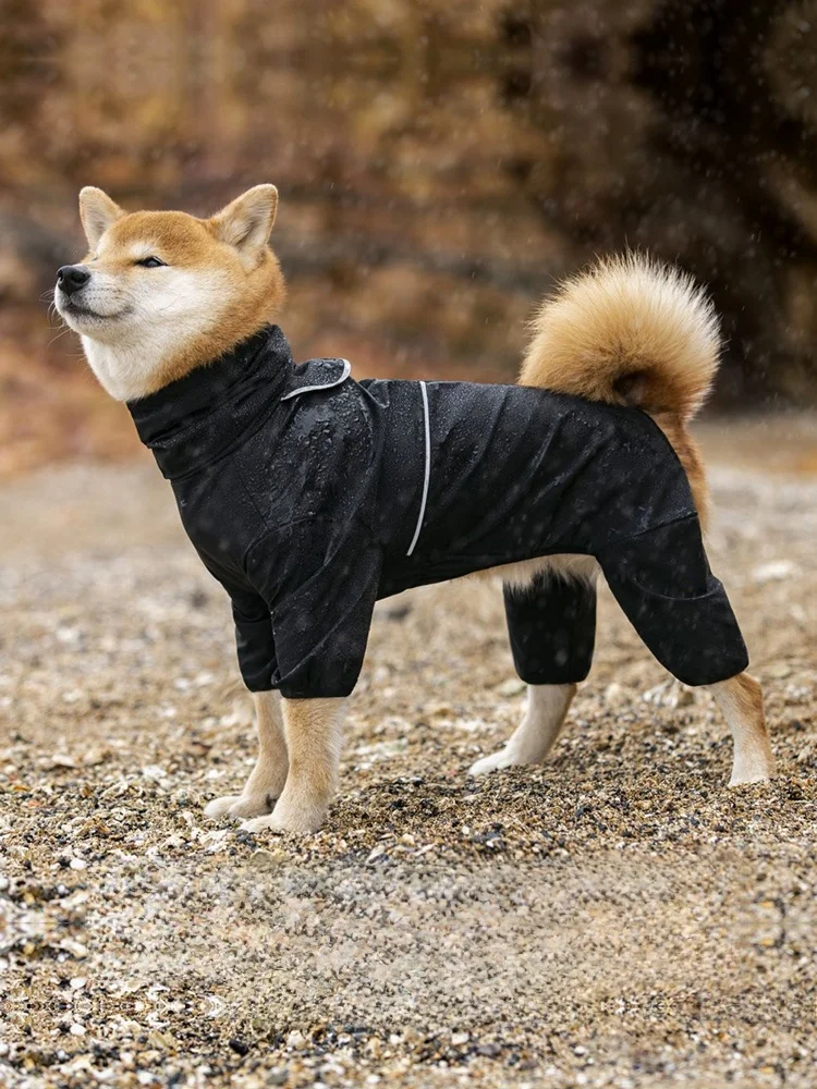 犬のお散歩グッズをコスパ良く揃える方法 - 軽量防水レインコートの定義とサイズ基準