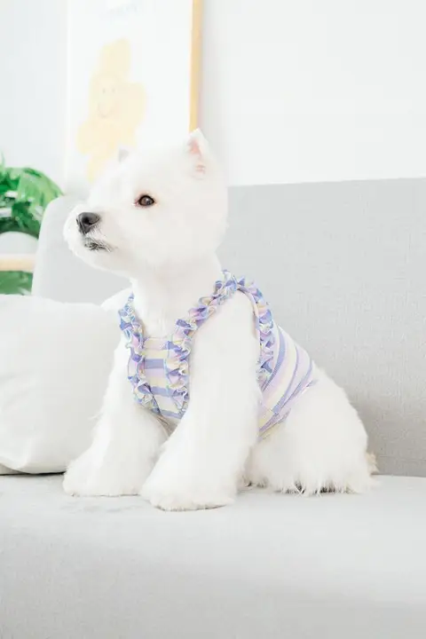夏用 ペット用犬服【半袖・通気性・小型犬用】