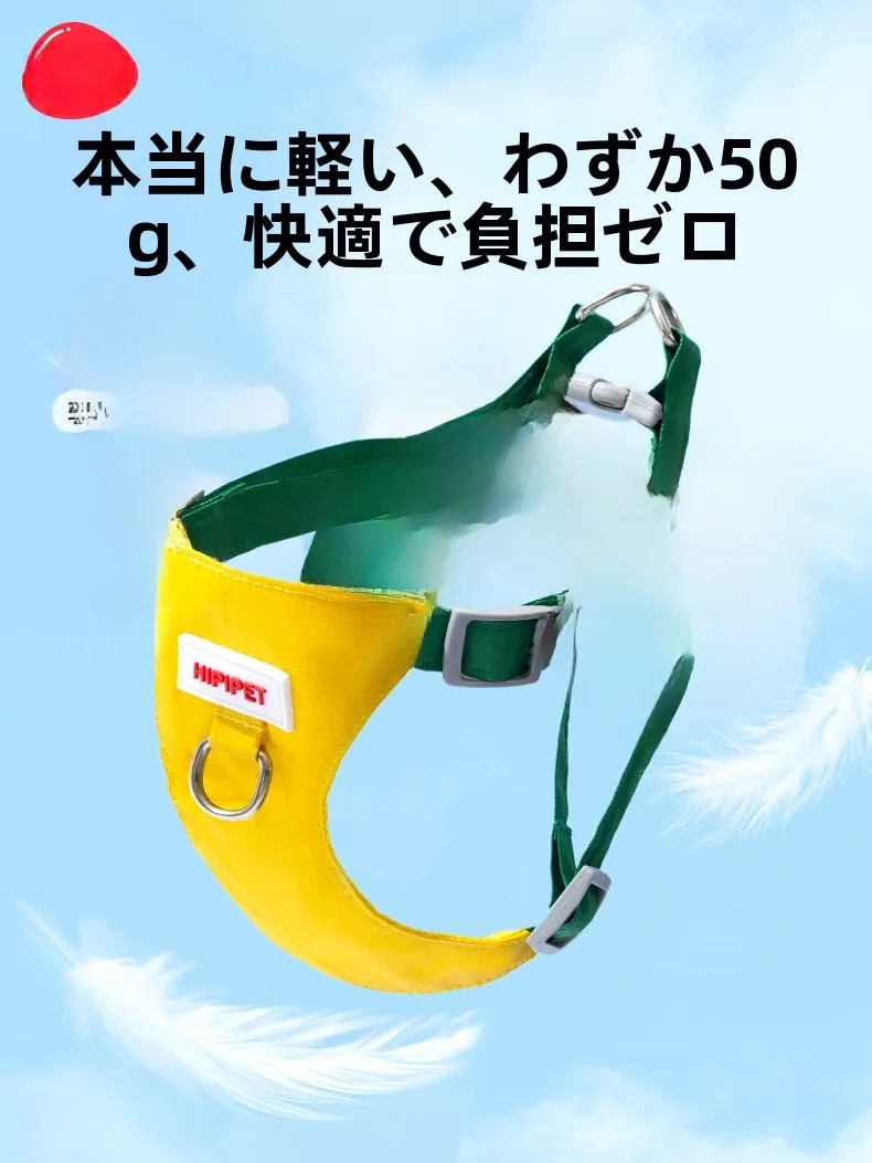小さな犬と歩く毎日を、どうやって快適に保つ？