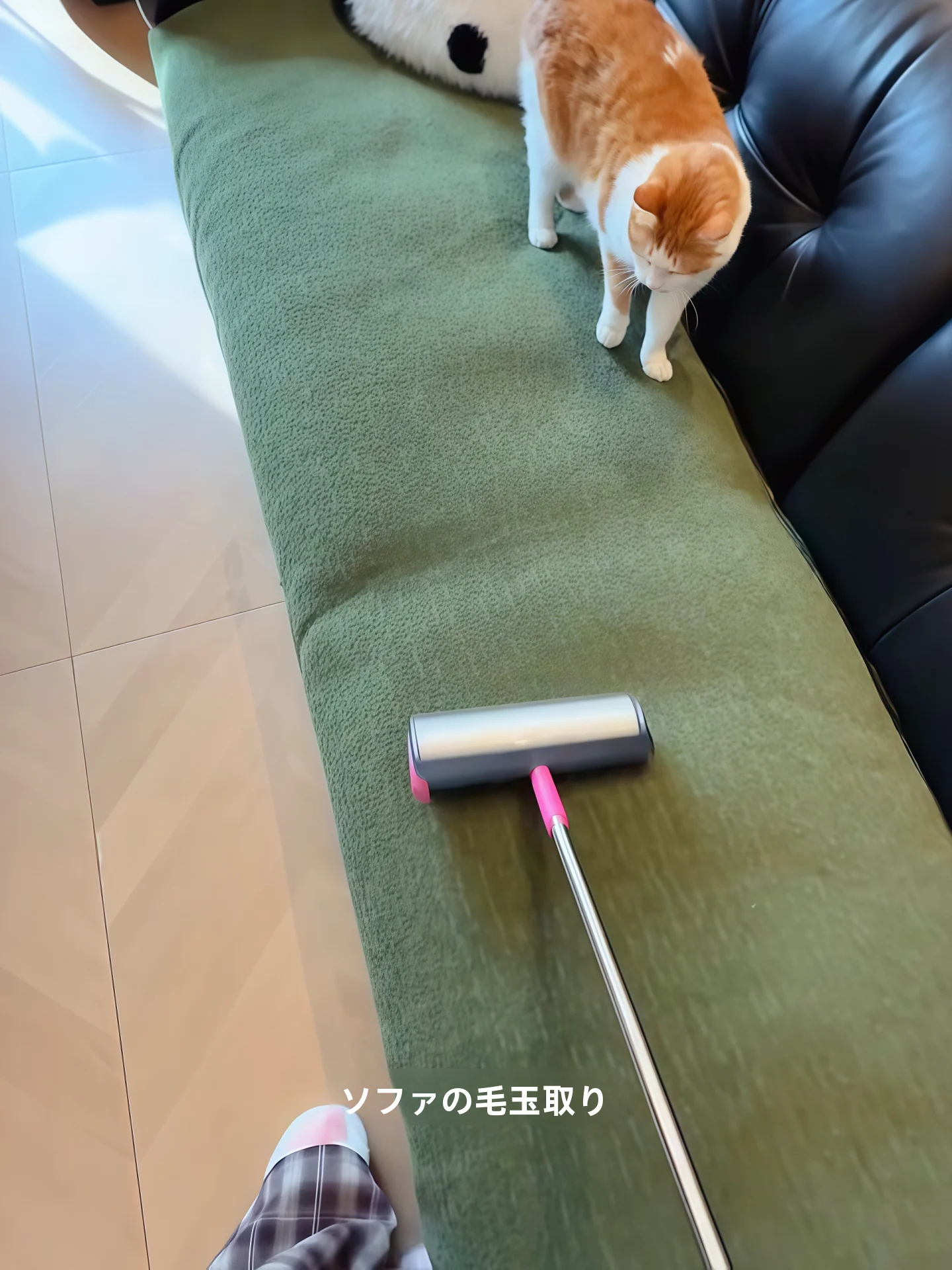 ペット用毛取りローラー：伸縮式粘着ブラシで猫犬の毛を効率的に除去