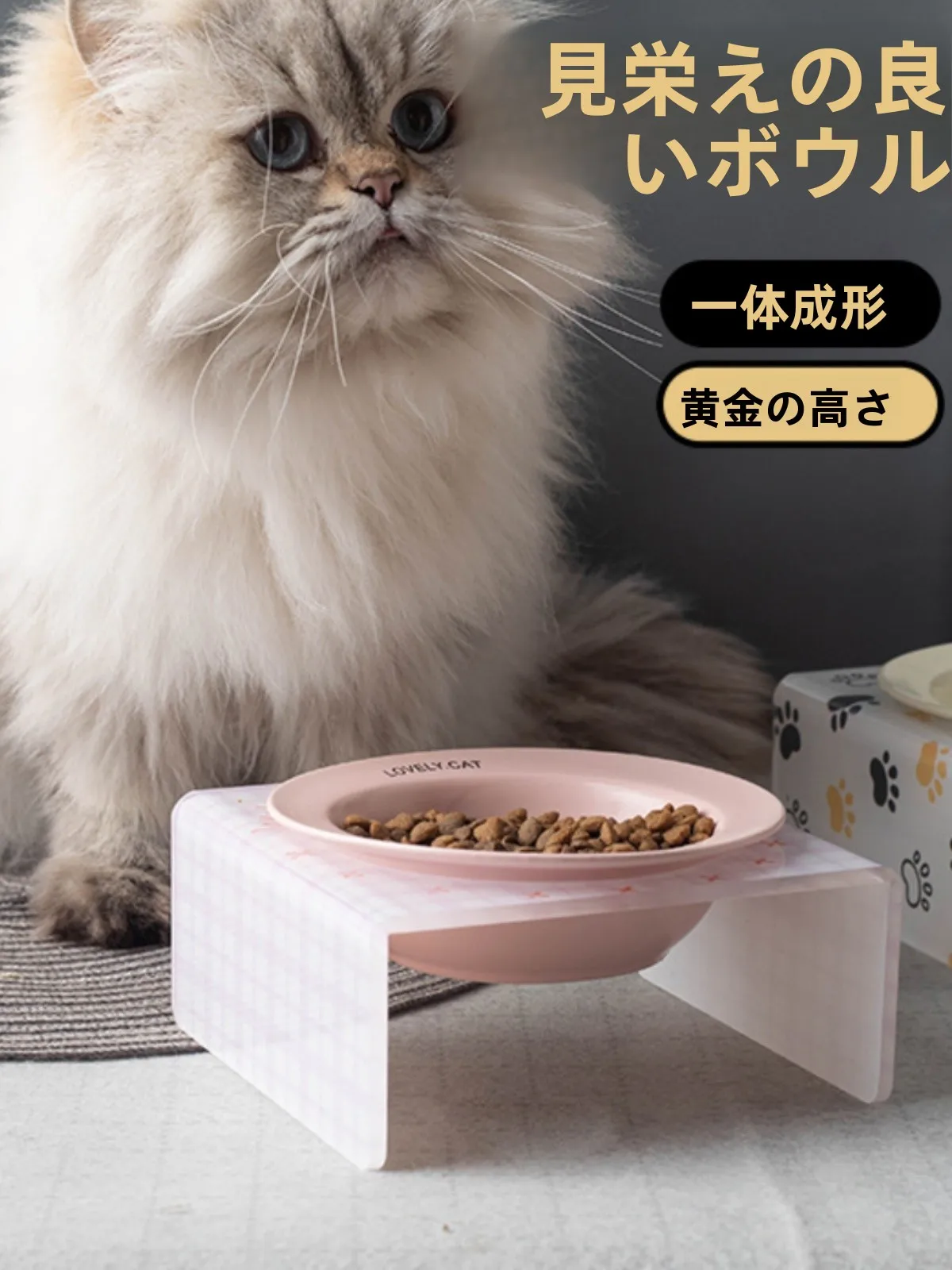 陶器製の猫用食器：アクリルスタンド付きカートゥーンデザインの実用性と使い勝手