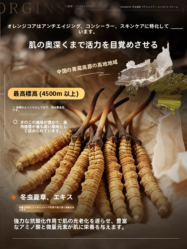 クリームファンデーション 虫草エキス配合 スキンケア 乾燥肌 混合肌 小じわケア カバー力 崩れにくい