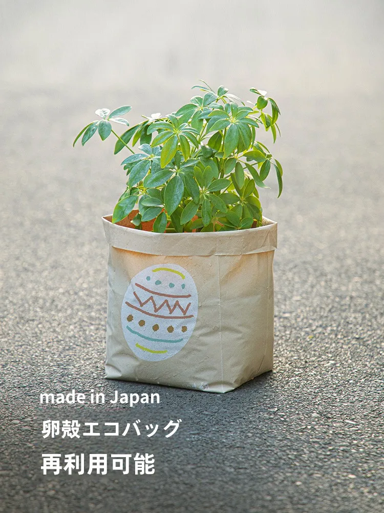 エコバッグ 500円で本当に環境にやさしいのは、本当にどれ？
