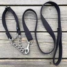 中大型犬用リード＆カラーセット【ドイツ牧羊犬・マルチーズ・ゴールデンレトリバー対応・牽引具付き】
