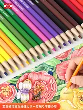 自動シャープペンシル 交換可能な芯付き 12色・24色セット【油性・子供・学生向け・絵画・美術用】