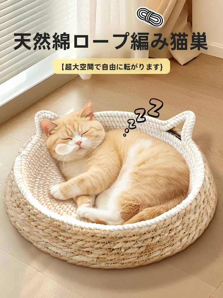 犬のお散歩グッズをコスパ良く揃える方法｜反射材付きハーネスタイプリードの選び方徹底解説