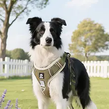 大型犬用胸部サポートハーネス【リード付き・柴犬・ゴールデン・ペット用】