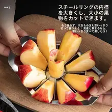 ステンレス製リンゴカッター【多機能・皮むき・種取り】
（セットアップ対応）