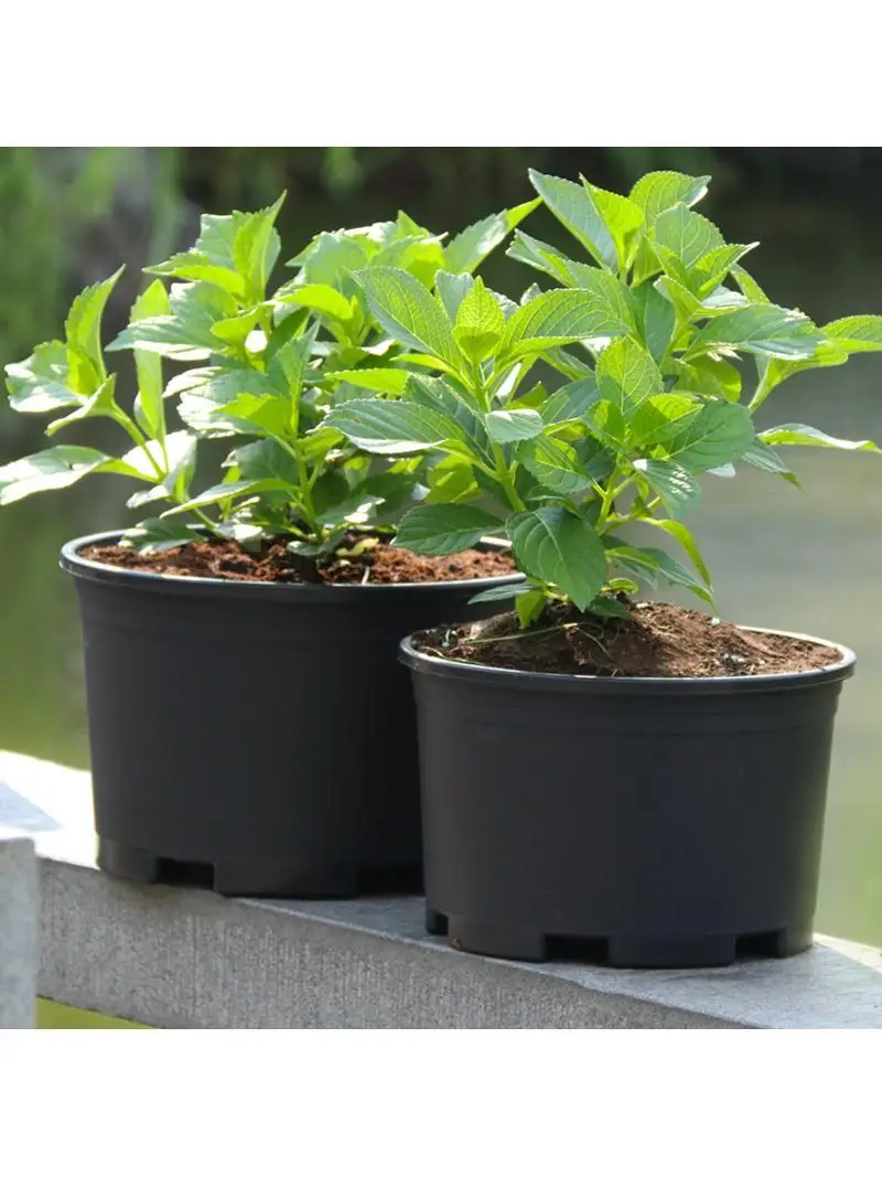 特大サイズのガーデニング用プランター：広い植え付けスペースでほったらかしで毎年咲く花を育てる