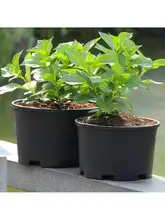 特大サイズのガーデニング用プランター【汎用型・広い植え付けスペース】