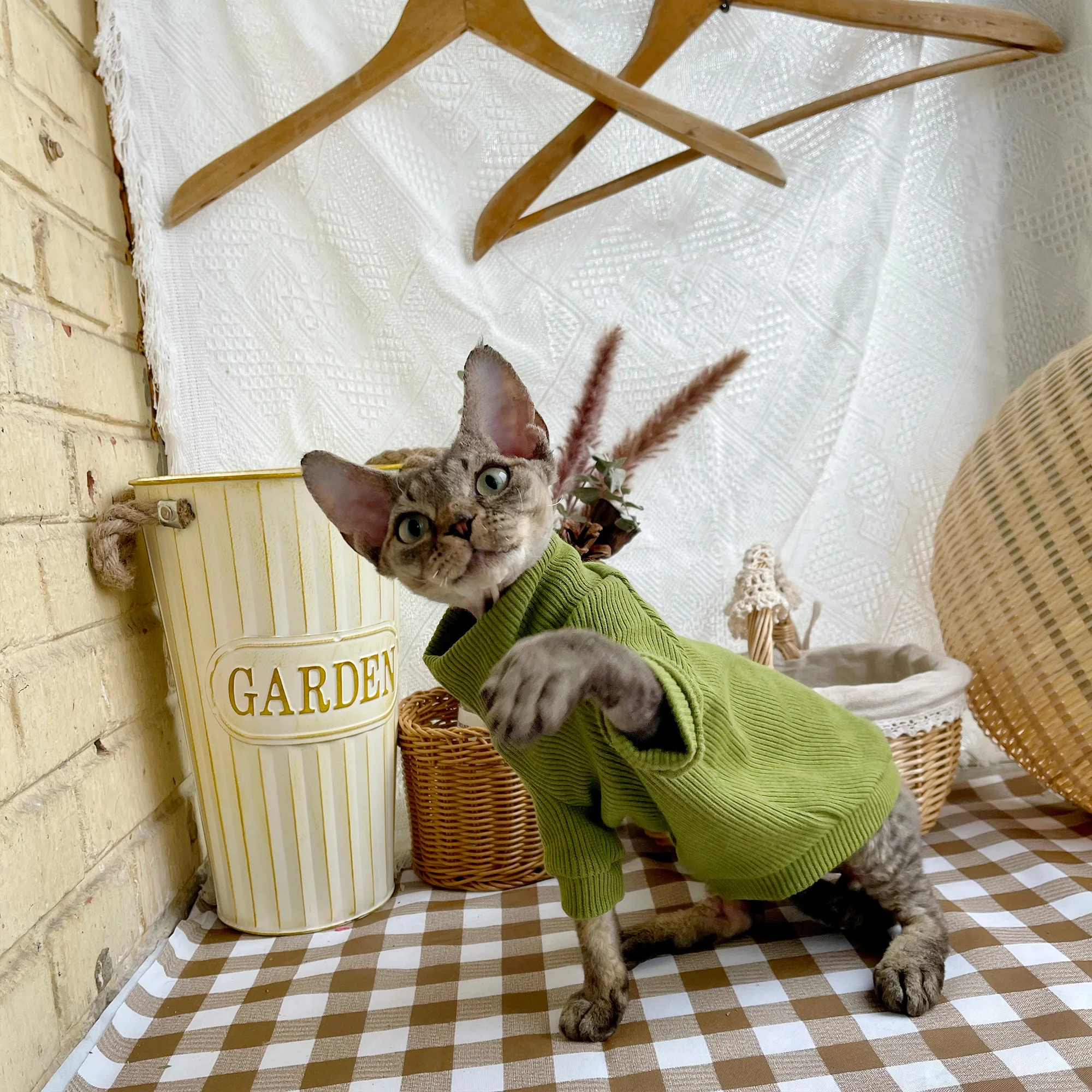 猫飼いが買ってよかったもの・悪かったもの正直に言う｜スフィンクス向け厚手ハイネックセーターの徹底解説