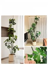 リアルな造花 アカシアの木風インテリアグリーン【ホテル用・大型フロア飾り】