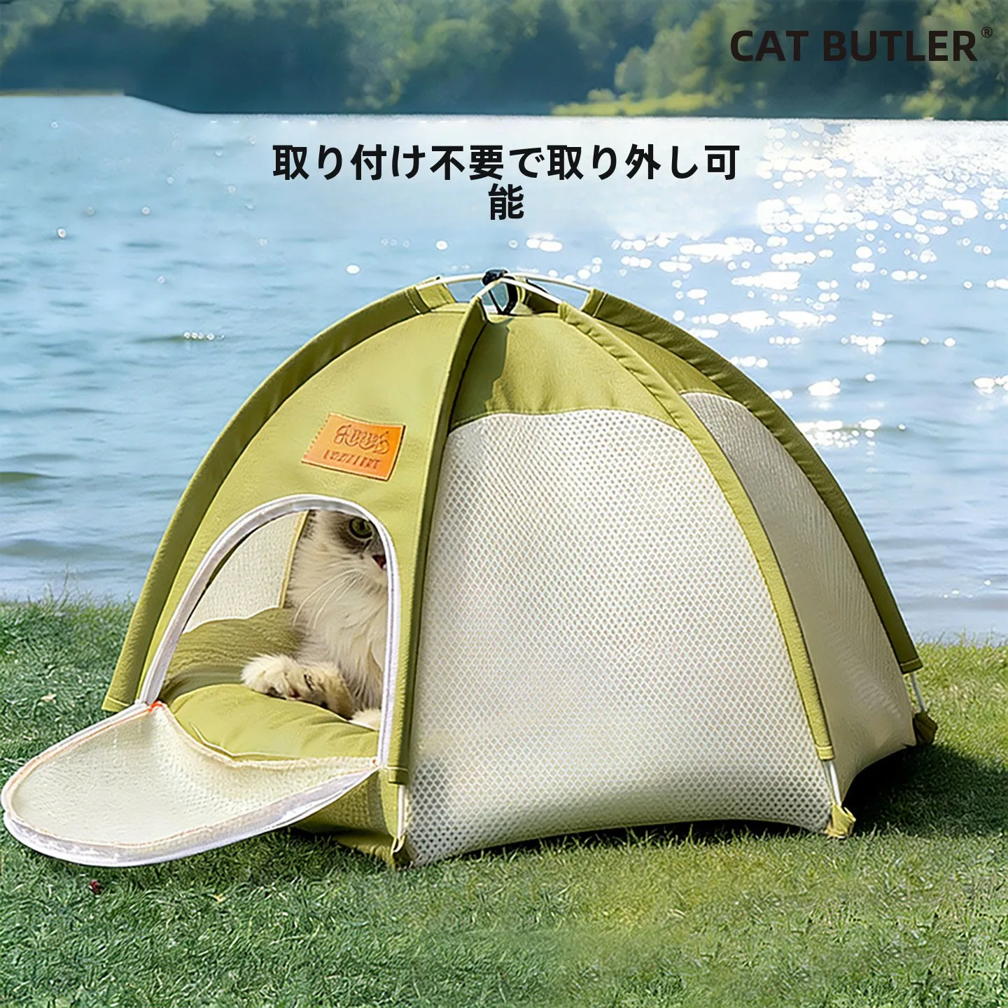 一人暮らしで猫を飼うなら、外で過ごす時間をどう確保する？