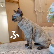 GINGERAIN テキサス猫用ニットセーター【保温・柔らかい・無毛猫対応】