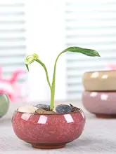 多肉植物用 おしゃれな氷裂釉花鉢【創意デザイン・インテリア用】