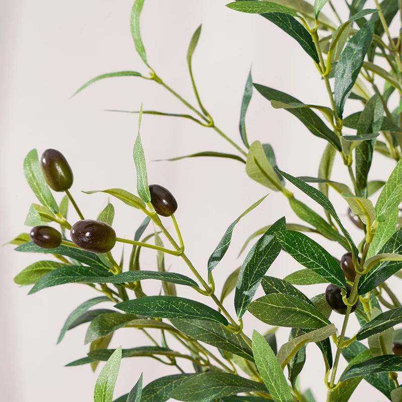 インテリア買い物リストに加えるべき植物は？オリーブの木の選び方と配置ガイド