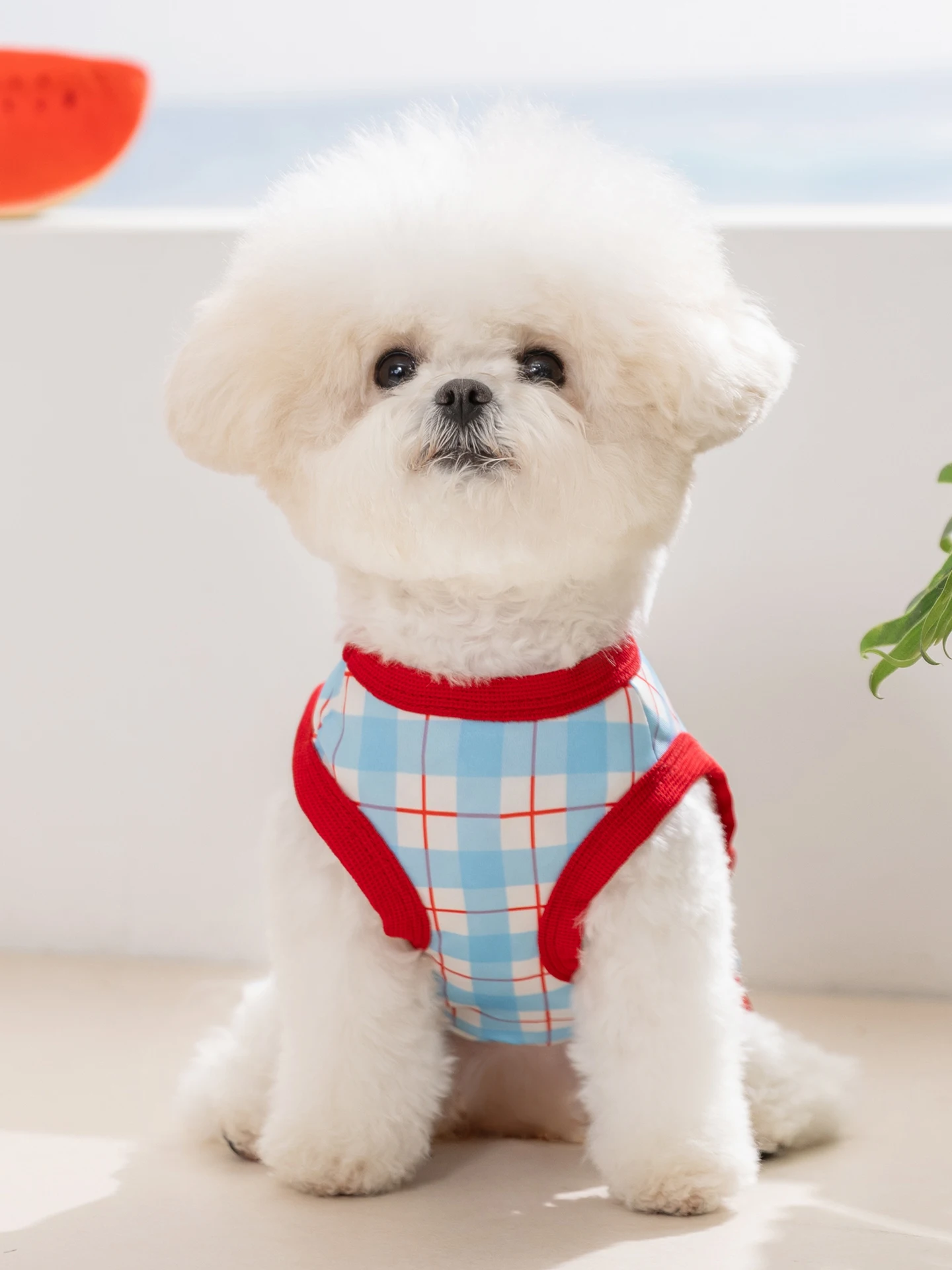 春夏用ペットウェア：小型犬用の薄手背心で快適な日常を実現