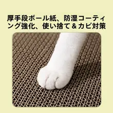 二重構造の段ボール製キャットハウス【キャットボード一体型・耐磨耗・シーズン対応】