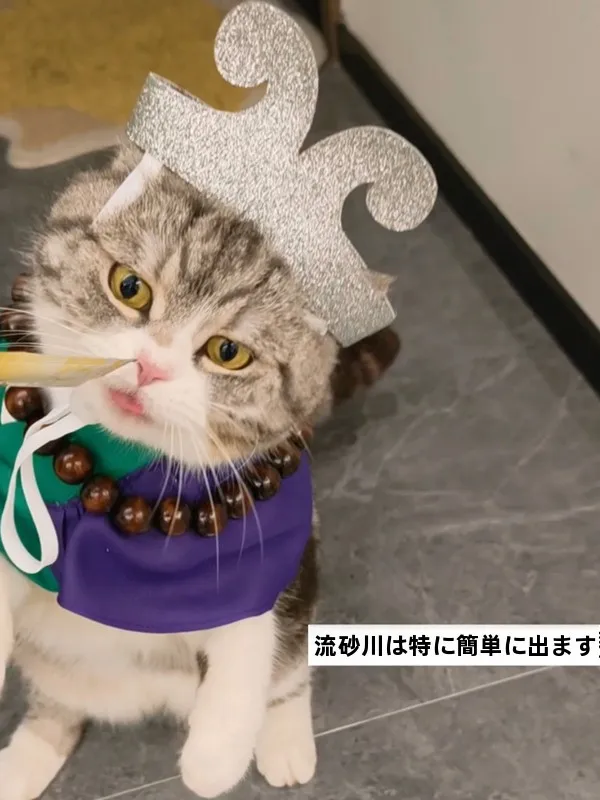 ハロウィン2026に使えるペット用コスチュームは、どう選ぶ？