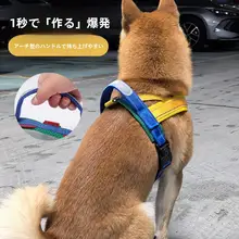 防爆設計の中小型犬用リード【柴犬・ビションフリーゼ対応・無駄な脱走防止】