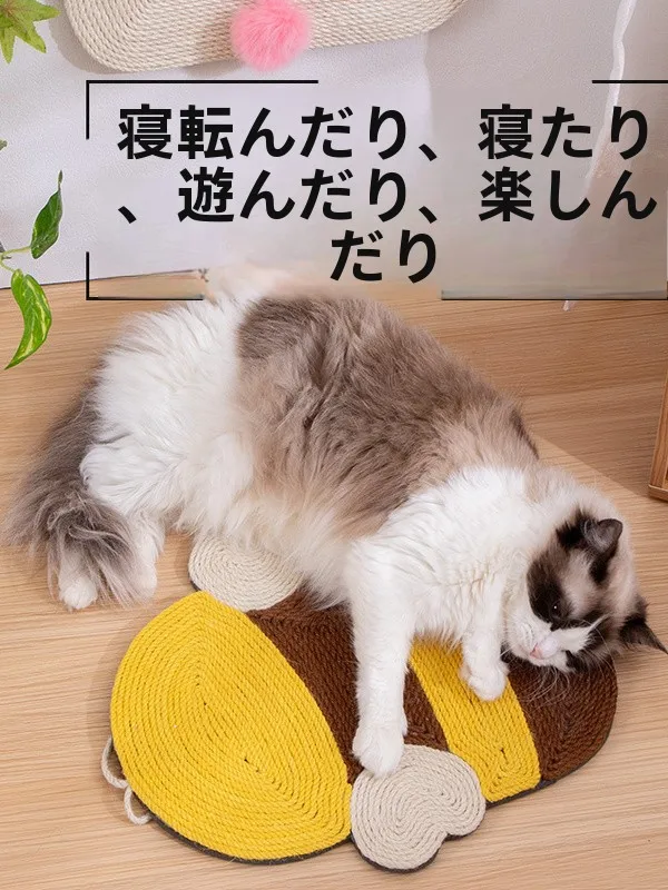 猫のいる部屋に「美しさ」と「安心」をどう入れる？
