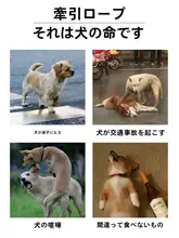 中小型犬用 背負い式リードハーネス【テディ・コーギー・ポメラニアン・フレンチブルドッグ用】