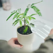 高級感あふれるインテリア用フラワーポット【多肉植物・リビング・バルコニー用】