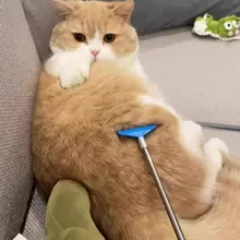 猫のかゆみスクラッチインタラクティブスクラッチ 猫用ティーザー