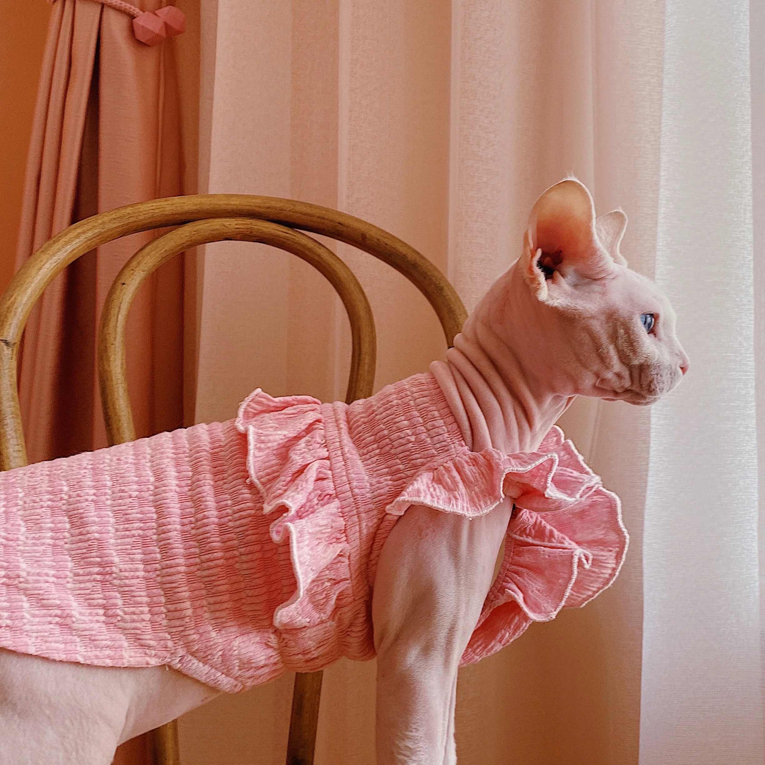 猫dollとは何か？人形とどう違うの？なぜ今、スフィンクスのフリル袖が人気なのか？